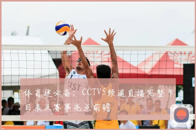 体育迷必备：CCTV5频道直播完整节目表及赛事亮点前瞻