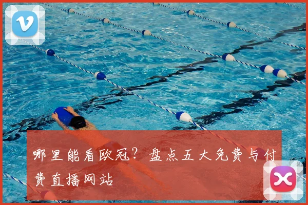 哪里能看欧冠？盘点五大免费与付费直播网站