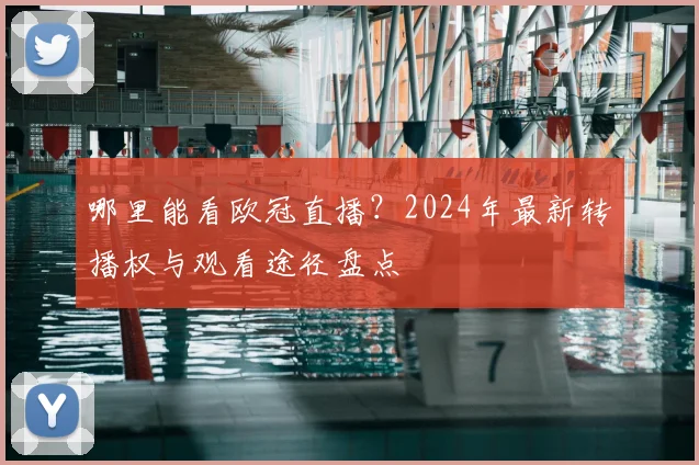 哪里能看欧冠直播？2024年最新转播权与观看途径盘点